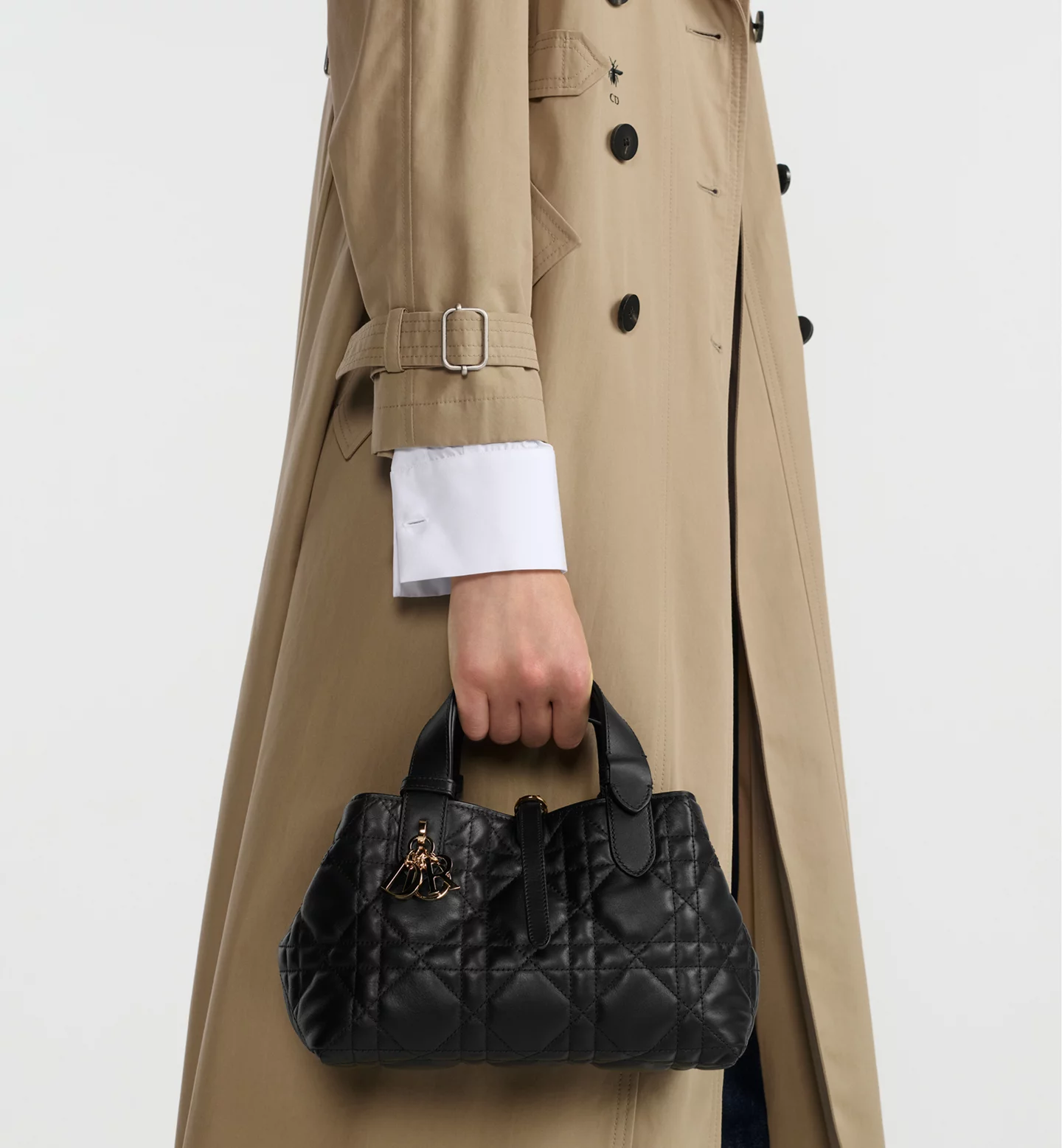 LOOK_F_25_1_LOOK_698_E11 Small Dior Toujours Bag - Image 4