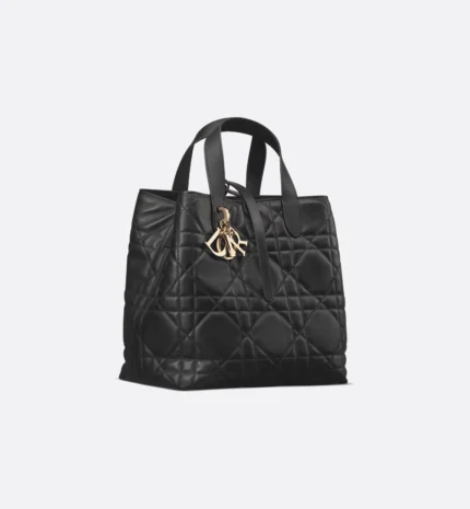 Medium Dior Toujours Vertical Tote Bag